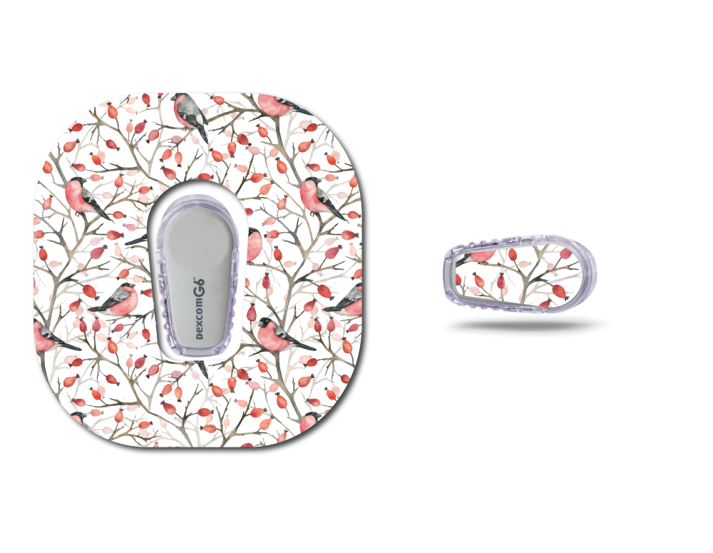Bullfinch Birds CGM Set