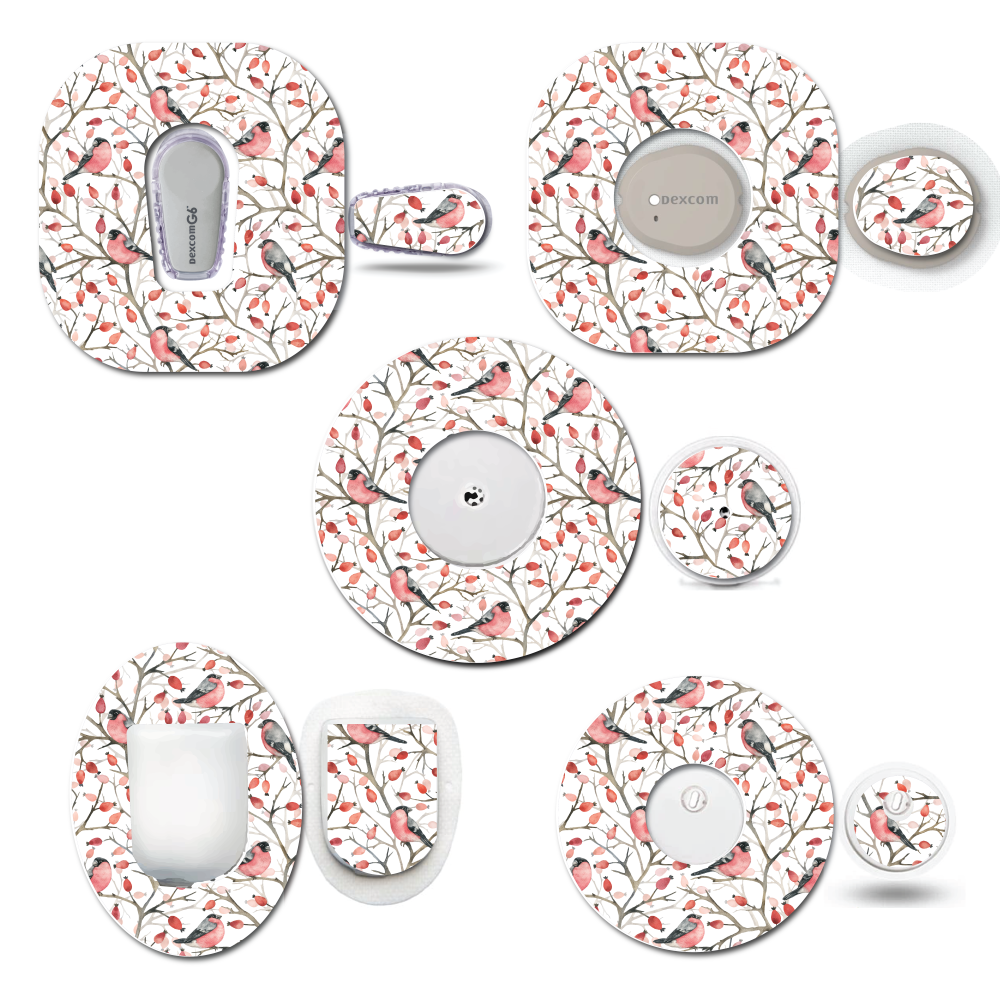 Bullfinch Birds CGM Set