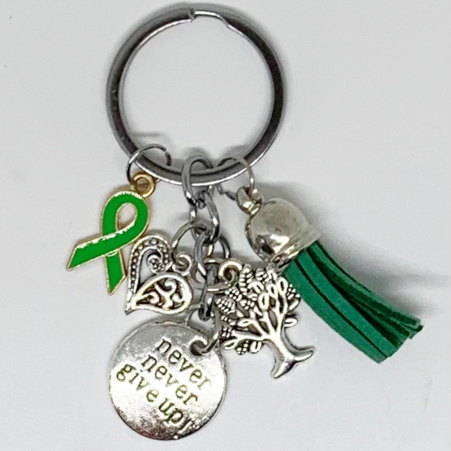Green Awareness Ribbon Never Give Up Keychain Tourettes Syndrome, Fibrodysplasia Ossifican's Progressiva, Leukemia