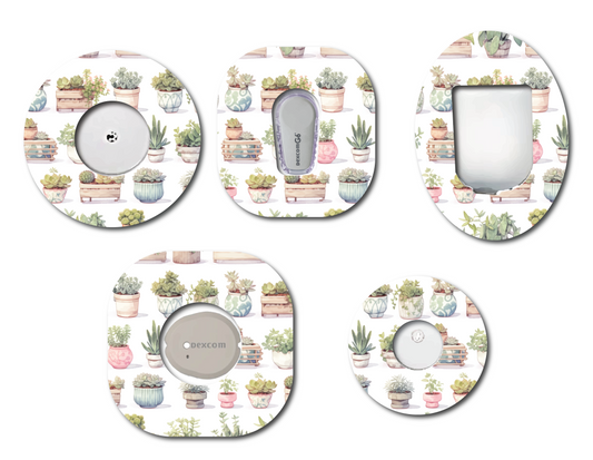 Potted Succulents CGM Patch