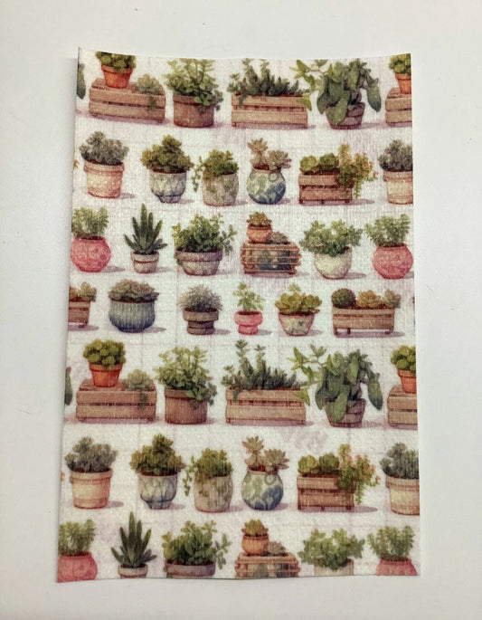 Succulents in Planters Tubie Tape